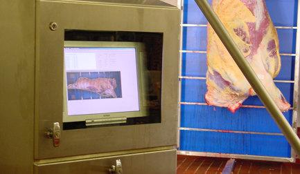 By Using Instrument Carcass Grading Technology Usd